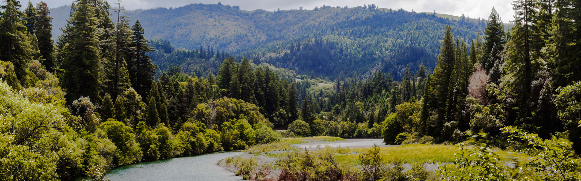 Things To Do in Fortuna, CA  Super 8 by Wyndham